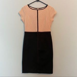 ⭐️ Ann Taylor 00P Cream/Black Dress